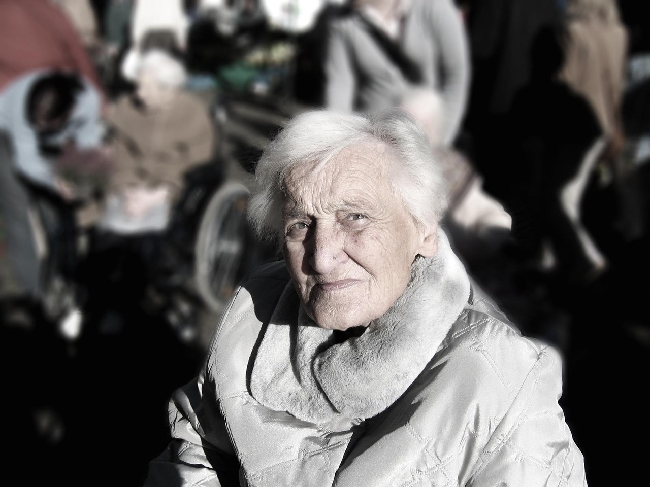 woman,  elderly,  portrait,  old,  senior