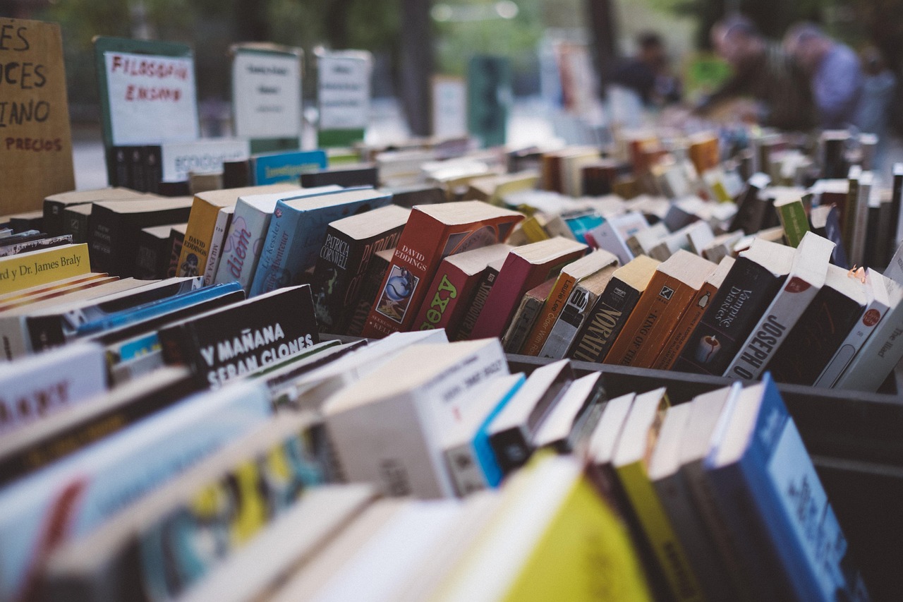books,  bookshop,  bookstore,  collection,  rows