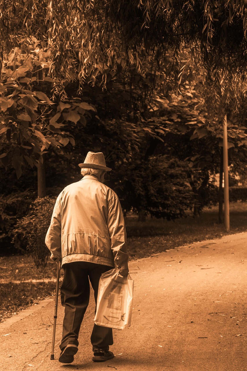 man,  senior,  elder,  walk,  pathway